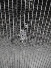 Радиатор основной NISSAN TIIDA/VERSA C11 04-11