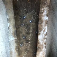 Диск R16 SONATA LF 2014-