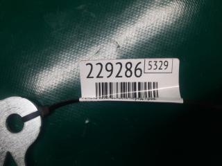 Ремень безопасности передний правый TLX 14-17 2015 Седан 2.4