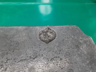 Наполнитель бампера задний SENTRA B17 12-21 2014 Седан 1.8