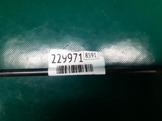 Амортизатор крышки багажника левый FOCUS 10-18 2013 Хетчбек 2.0 C20HDEX