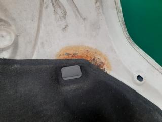 Капот передний FOCUS 10-18 2013 Хетчбек 2.0 C20HDEX