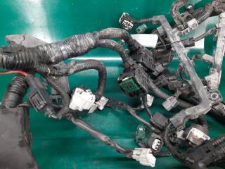 Проводка подкапотная RDX 12-19 2013 Внедорожник 3.5 J35Z2