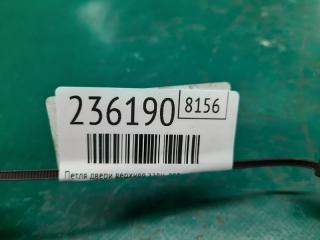 Петля двери нижняя передняя левая MURANO Z51 07-14 2009 Внедорожник 3.5 VQ35DE