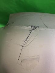 Бампер передний SONATA NF 04-10 2005-2007 NF