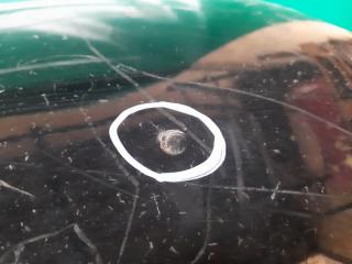 Бампер задний IMPREZA 07-11 GE/GH 2009 Седан 2.5 EJ253