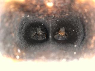 Двигатель бензин JETTA USA 10-17 2016 Седан 1.4L TSI I-4 Turbocharged