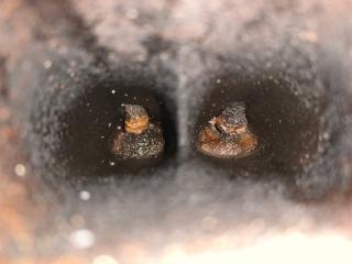 Двигатель бензин JETTA USA 10-17 2016 Седан 1.4L TSI I-4 Turbocharged