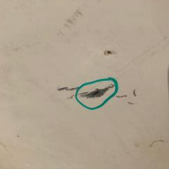 Дверь передняя правая 300 04-10 2008 Седан 3.5 EGG