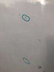 Дверь передняя левая 300 04-10 2008 Седан 3.5 EGG