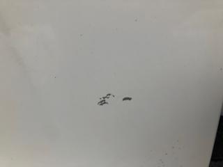 Капот 300 04-10 2008 Седан 3.5 EGG