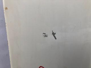 Капот 300 04-10 2008 Седан 3.5 EGG