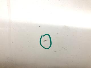 Дверь передняя левая NV200 USA 13-