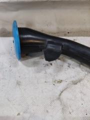 Горловина бачка стеклоомывателя FX/QX70 S51 08-17