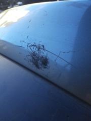 Бампер задний FX S50 03-08 Внедорожник