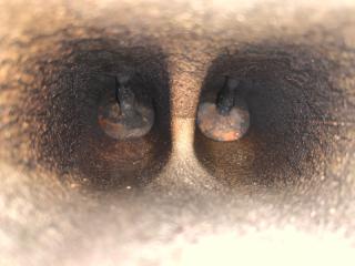 Двигатель бензин RDX 19- 2019 Внедорожник 2.0