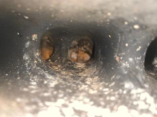 Двигатель бензин RDX 19- 2019 Внедорожник 2.0