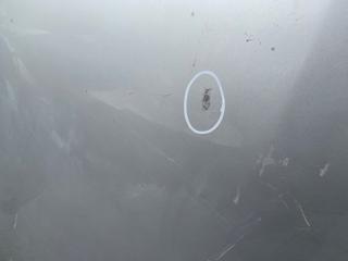 Капот G25/G35/G37/Q40 06-14