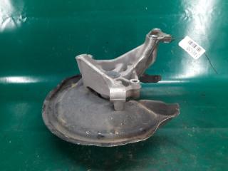 Цапфа задняя правая PASSAT CC 12-18 2014 Седан 2.0 CCTA