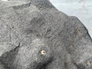 Подкрылок задний левый VENZA 09-16 2011 Внедорожник 3.5 2GR-FE