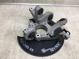 Цапфа задняя правая FLEX 08-19 2013 TP3 3.5 PDED