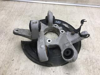 Цапфа задняя левая FLEX 08-19 2013 TP3 3.5 PDED