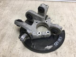 Цапфа задняя левая FORD FLEX 08-19 TP3 3.5 PDED