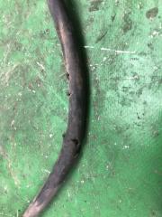 Трос стояночного тормоза правый OPTIMA TF 11-16 2014 TF 2.4 G4KJ