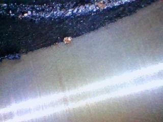 Двигатель бензин M35/M45 04-10 2006 Седан 3.5 VQ35DE