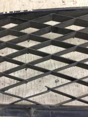 Решетка переднего бампера 6 GG 02-07