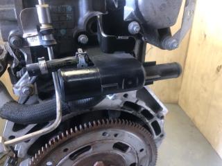 Двигатель бензин FOCUS 10-18 2017 CB8 2.0 XQDA