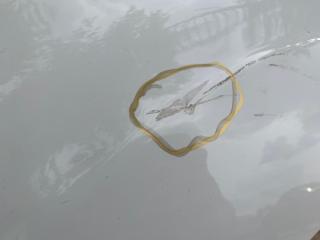 Крыло переднее левое SOUL PS 13-19 2013 PS 2.0 G4NC