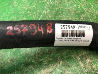 Патрубок системы охлаждения ES300 96-01 1998 MCV20 3.0 1MZFE