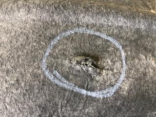 Подкрылок задний левый PASSAT CC 08-12