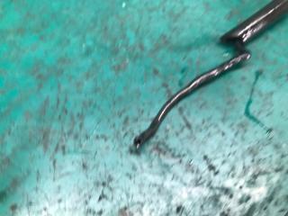 Датчик ABS передний левый AVENGER 07-14 2011 Седан 3.6