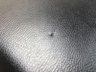 Консоль центральная PATHFINDER R52 12-21 2018 R52 3.5 VQ35DD