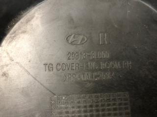 Пластик подкапотного отсека передний правый GRANDEUR 05-11