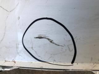 Бампер задний CIVIC  21- 2021