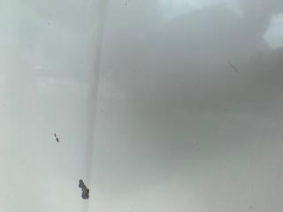 Капот MURANO Z50 02-07 2004 3.5 VQ35DE