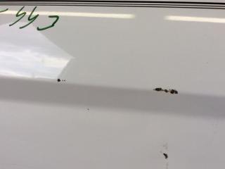 Дверь задняя левая FIESTA 08-17 2012 1.6 C16HDEX