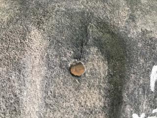 Подкрылок задний левый X-TRAIL/ROGUE T32 13-20