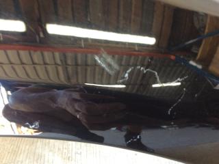 Крыло переднее правое FOCUS 10-18