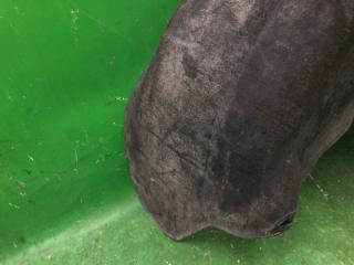 Подкрылок задний правый JETTA USA 10-17