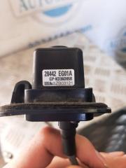 Камера заднего вида задняя M35/M45 04-10