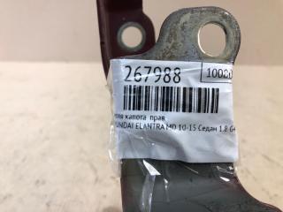 Петля капота правая ELANTRA MD 10-15 2014 Седан 1.8 G4NB