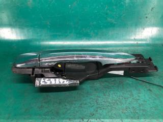 Ручка двери наружная задняя левая LEAF 10-17 2012