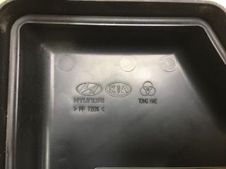 Блок предохранителей моторный отсек SANTA FE (CM) 05-12 2006-2009 CM 2.2CRDI D4EB