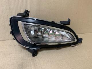 Противотуманная фара левая HYUNDAI GRANDEUR HG 11-16 HG