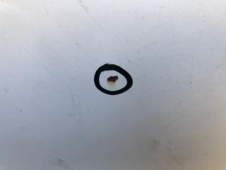 Дверь задняя правая TLX 14-17 2016 2.4 K24W7