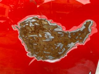 Дверь передняя левая FOCUS 10-18 MK3